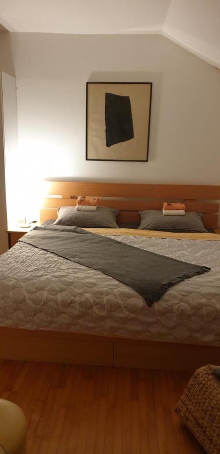 Apartments Bikica Vrnjačka Banja Екстериор снимка