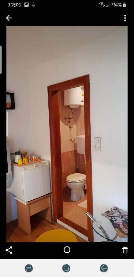 Apartments Bikica Vrnjačka Banja Екстериор снимка