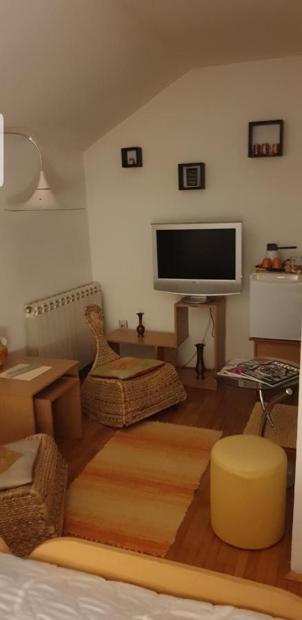 Apartments Bikica Vrnjačka Banja Екстериор снимка